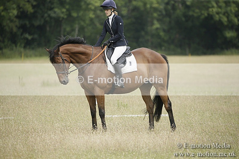 B230619-0407 - Bourne Valley Riding Club Summer Show 23/06/19