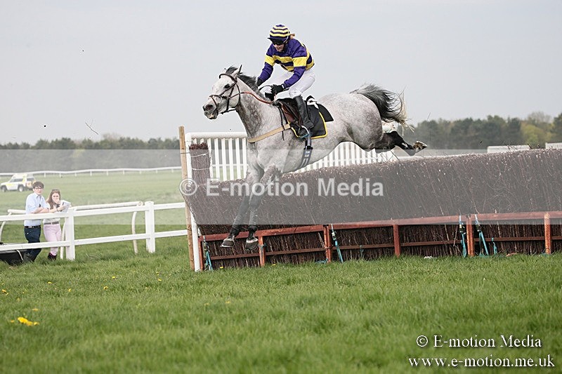 PtP 210418 287 - South & West Wilts Point-to-Point Larkhill 21/04/18