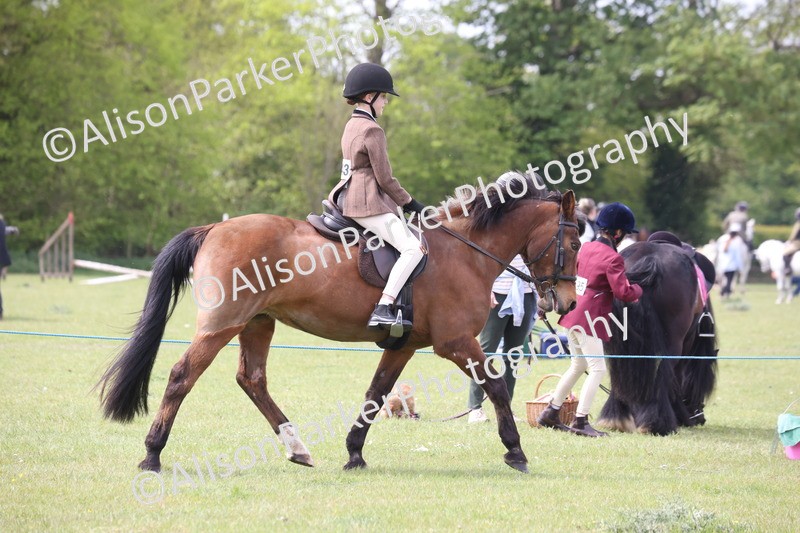20260426-2932 - Class 33 - Best Pony 14.2hh and Under