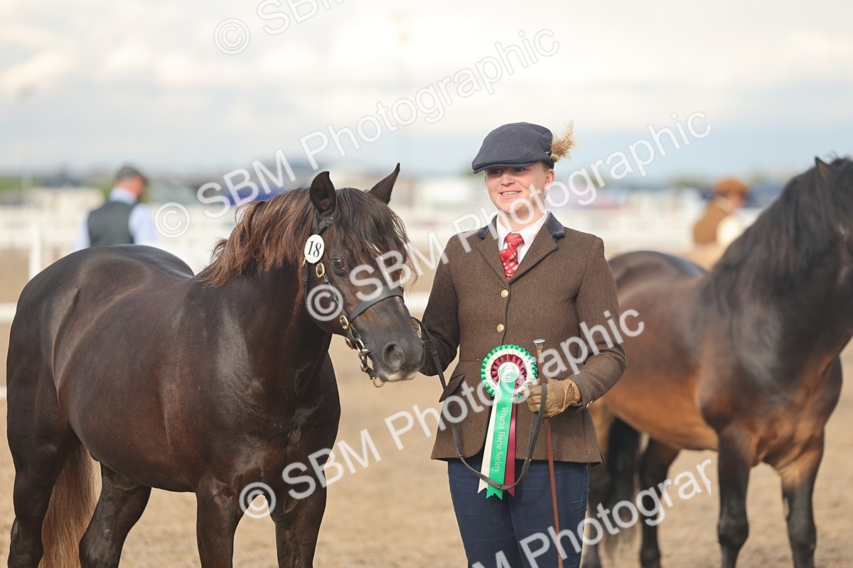 SBM_08597 - Class 29 - IH Veteran Pony