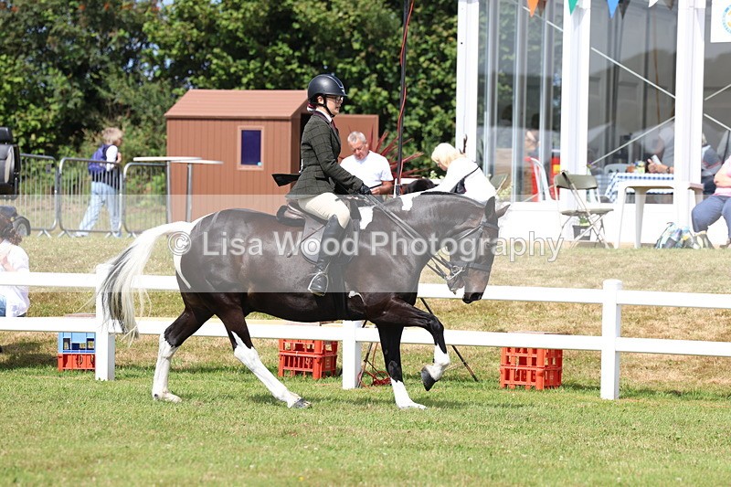 3E7A9843 - Class 5: Rising Star Lightweight/Heavyweight Cobs