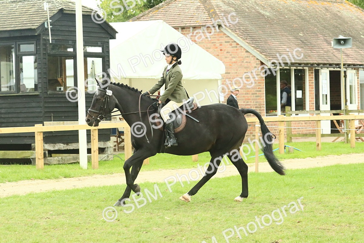 SBM_73988 - S 61 - Show Pony & Show Hunter Pony Ridden