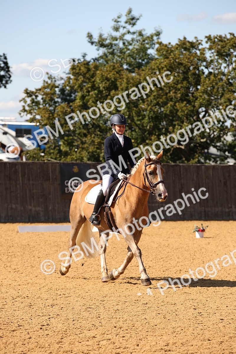 SBM_24244 - D5 - Small Tour Championship - Intro C