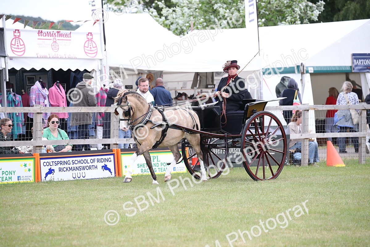 SBM_05858 - Class 12-15 - HOYS Private Driving