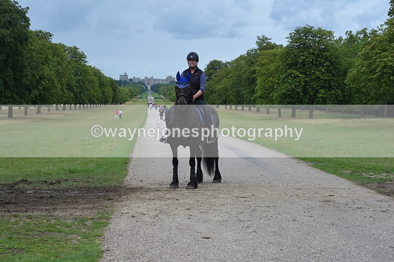 TT3_0123 - Time at Crossing 13:17 to 14:48