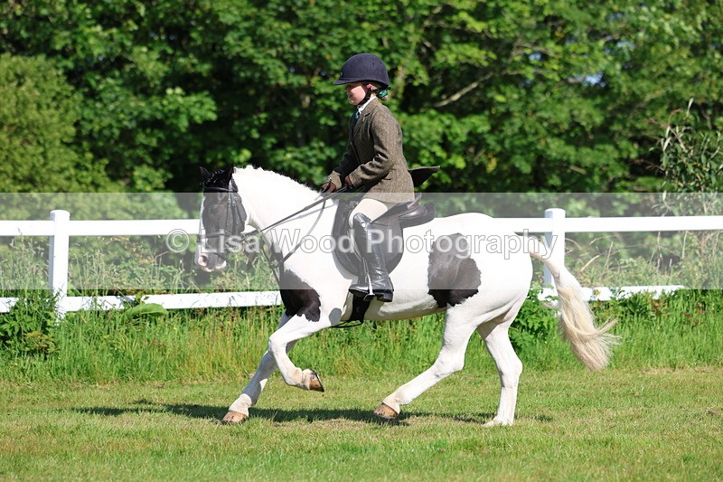 3E7A5996 - Class 27: Novice Working Hunter Pony