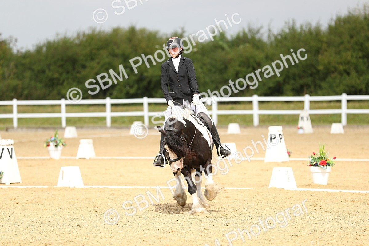 SBM_016456 - Class 13 - Novice 23 - 11.25-12.35