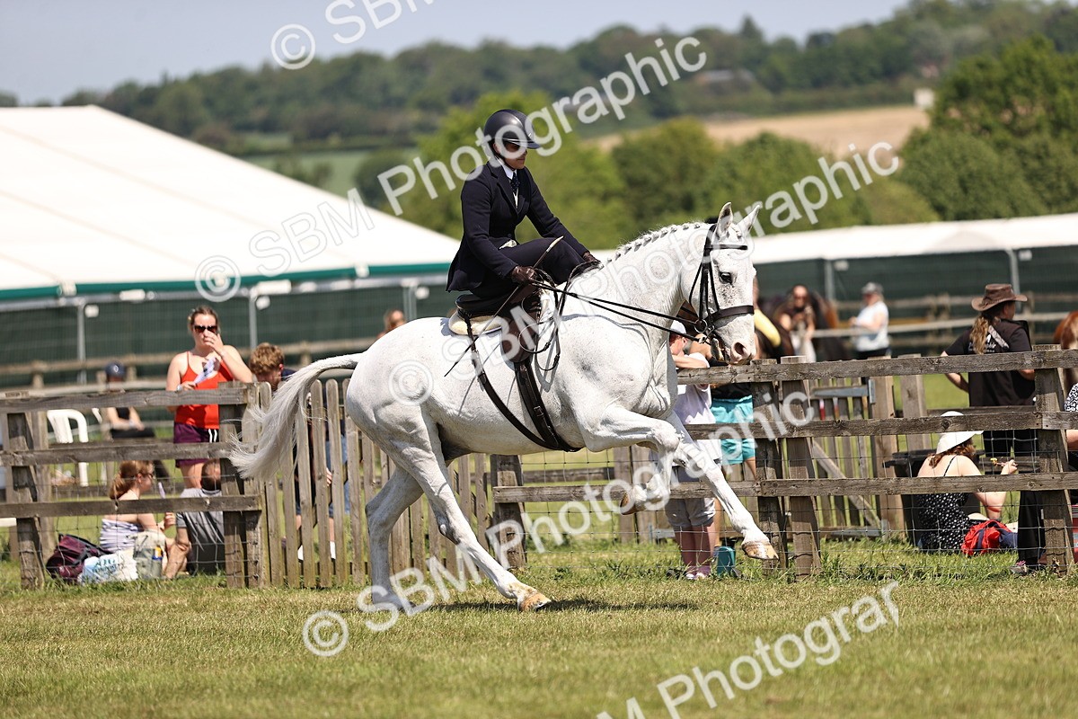SBM_15160 - Class 79-80 - LIHS BSHA Rising Star Ridden Hunter