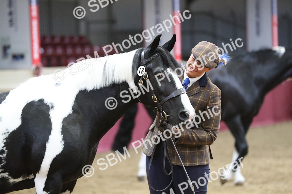 SBM_06407 - Class 9R Regional- IH Pre Vet