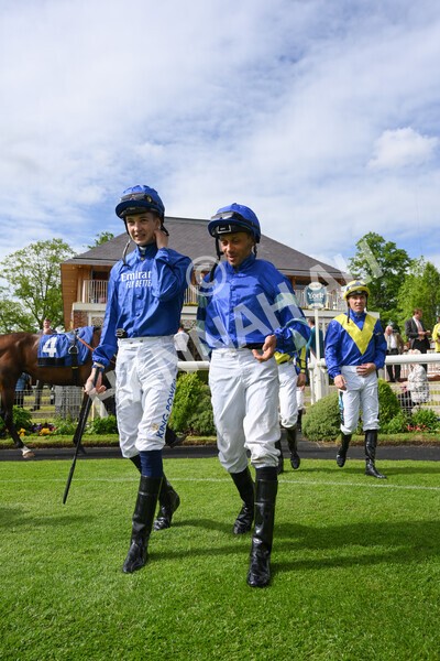 yr21052022r6-2 - Race 6: 4:42pm Yorkshire Regiment Stakes