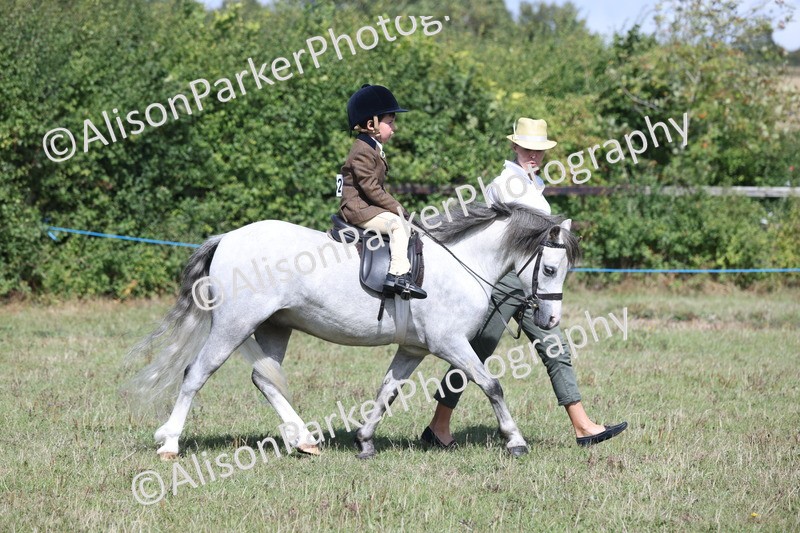 20250831-2654 - Class 17 - Lead Rein Pony