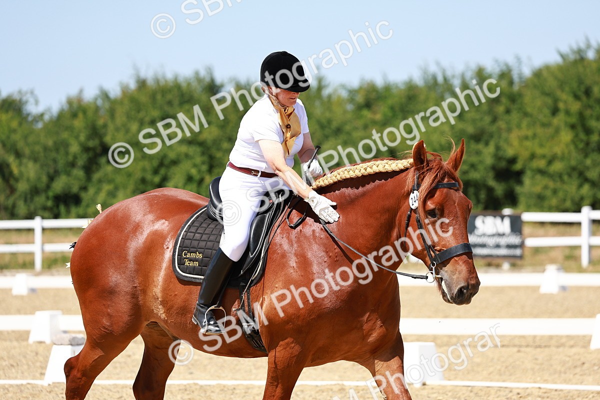 SBM_011824 - Intro 3 - 13.00-14.10