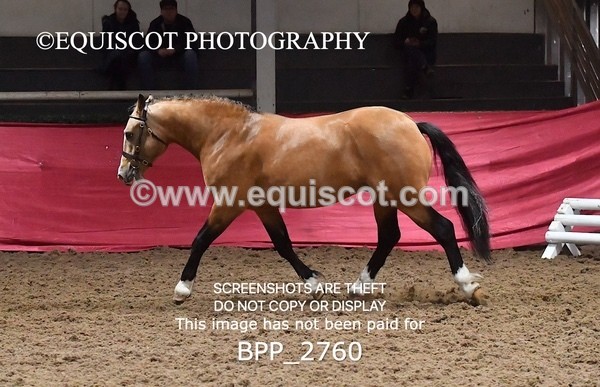 BPP_2760 - LOOSE JUMPING / SPSS
