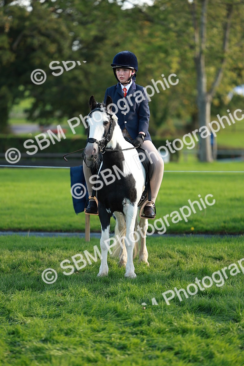 SBM_28780 - S7 - Novice & Newcomer Ridden Pony