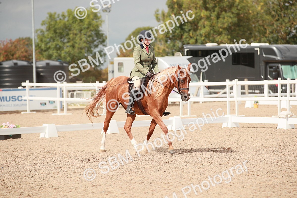 SBM_05986 - Class 32 - Novice 1