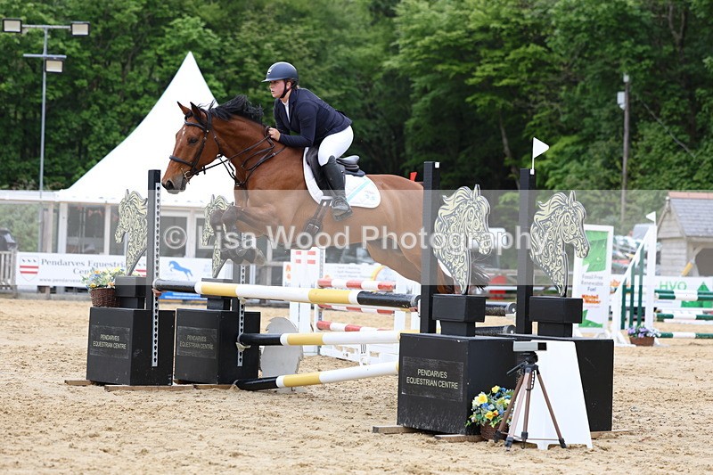 3E7A6390 - Class 4: Senior British Novice/90cm open
