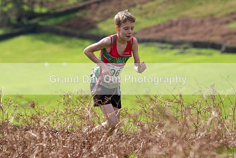 Wasdale Show-18 - Wasdale Head Show Fell Races (Junior & Senior) Saturday 14th October 2023