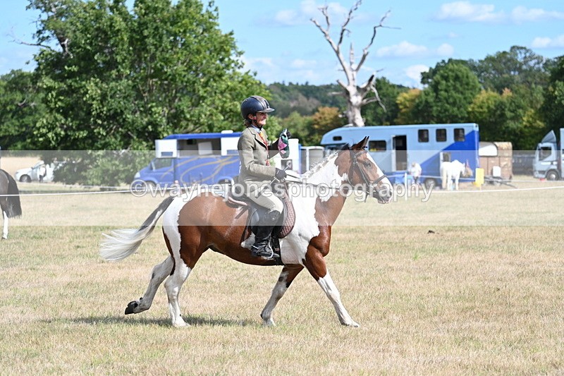 WJ7_7417 - Class 14 Ridden Coloured