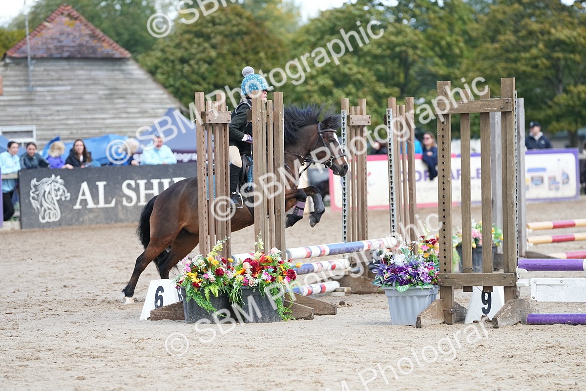 SBM_20639 - J49 - Open 50cm