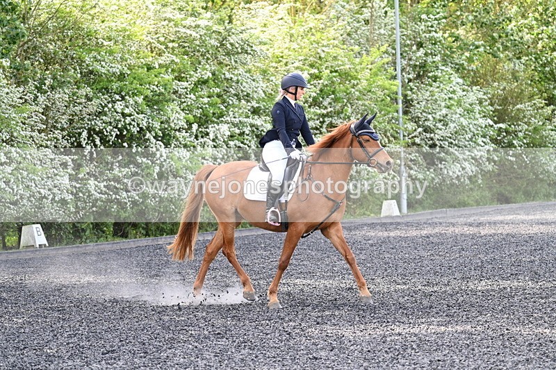 WJ7_7915 - Time 10:11 to 10:27