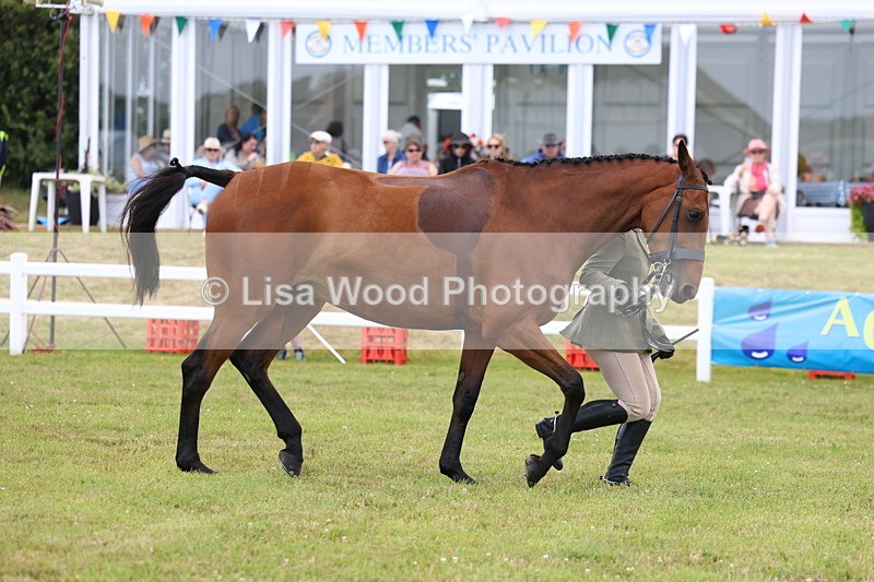 3E7A1767 - Class 9: Open Hunter