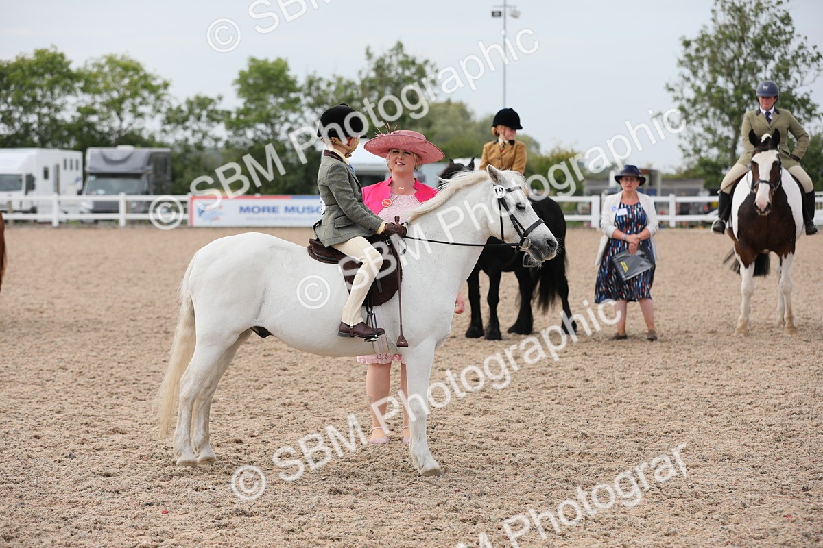 SBM_16911 - Class 314 Family Horse/Pony