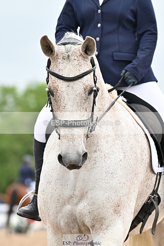 240623A-113712-17535 - Cls 48 BD Novice 37A