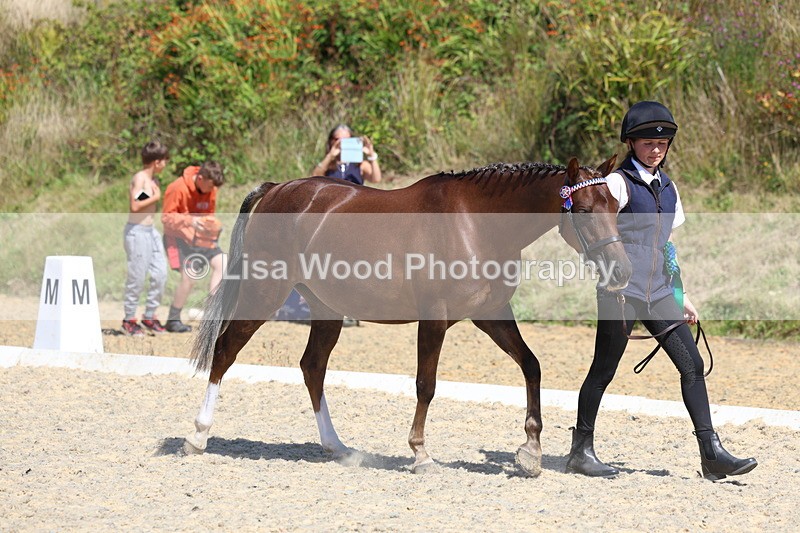 3E7A9796 - In Hand Championship