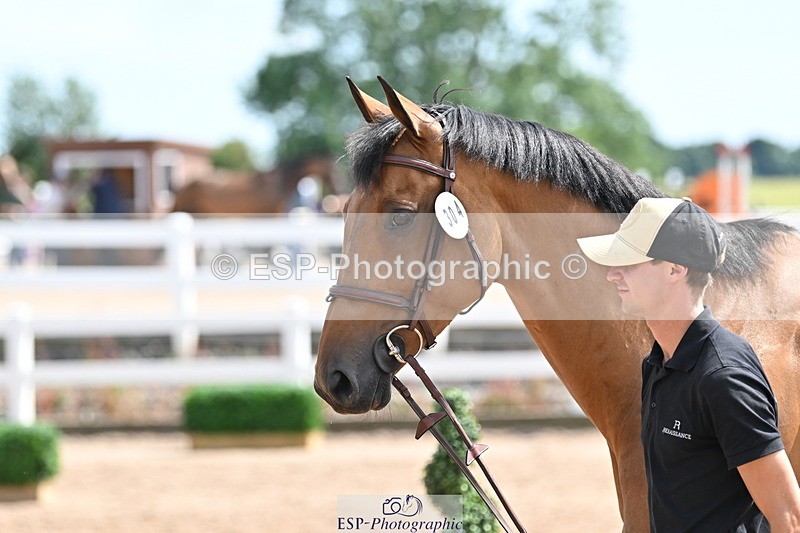 240717A-151550-02698 - Trot Up 3pm to 4pm