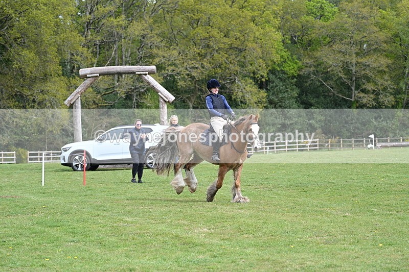 WJ7_6304 - 60cm Time 11:12 to 11:36