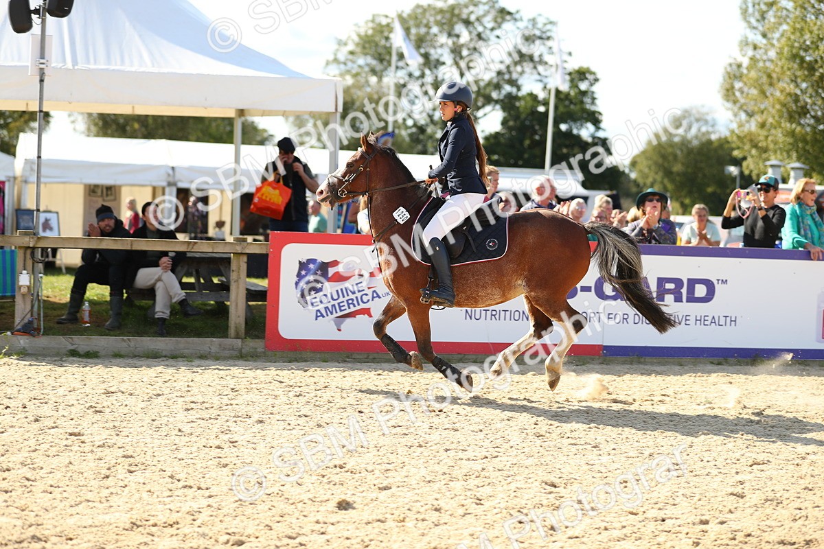 SBM_24416 - J45 - Accumulator 70 80cm