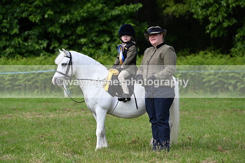 WJ7_0972 - Class 8 First Rally Pony