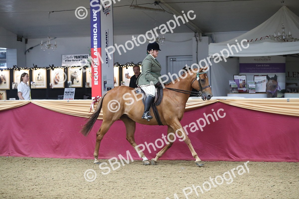 SBM_12310 - Class 108 Ridden Retired Racehorse- Pre Judging