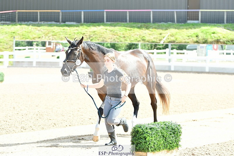 230719A-112144-00002 - Trot Up 11am to 12pm