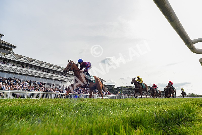 020526-Race 7-Rising Force-1835 - Race 7 5.00pm Sky Bet Irish Day Saturday 16th May Book Now Handicap