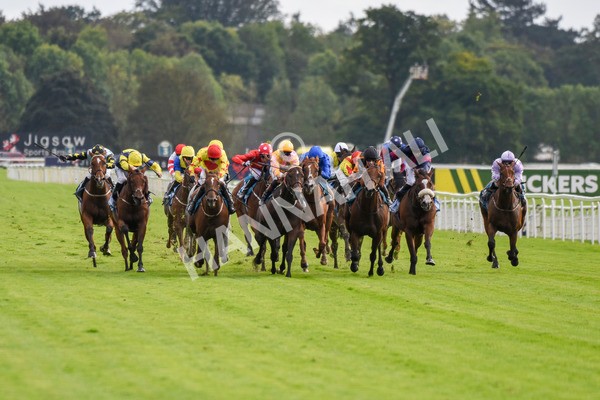 230923-Race 4-Aphelios-5687 - Race 4 3.45pm Jigsaw Sports Branding Handicap