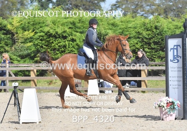 BPP_4320 - CLASS 6 HORSE 60CM FINAL