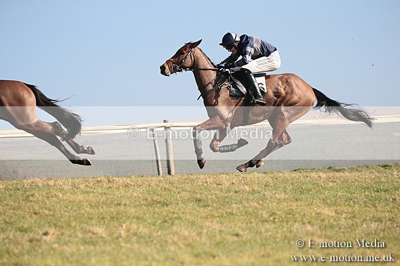 PtP 230219 108 - Vine & Craven Point-To-Point - Barbury 23/02/19