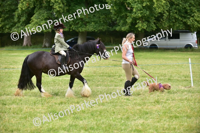 20260614-4525 - Class 19 - Cutest Pony, Rider and Dog Combination