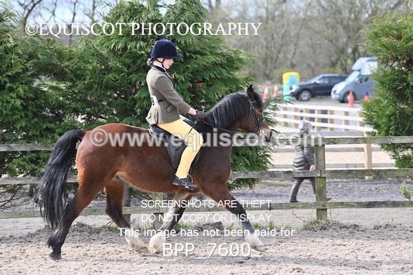BPP_7600 - RING 1  (RIDDEN HORSES / IN HAND / VETERAN ETC)