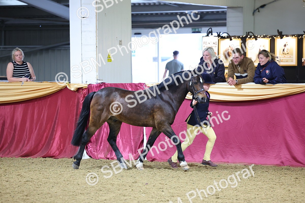 SBM_18575 - Class B Junior Champ 11-16 years