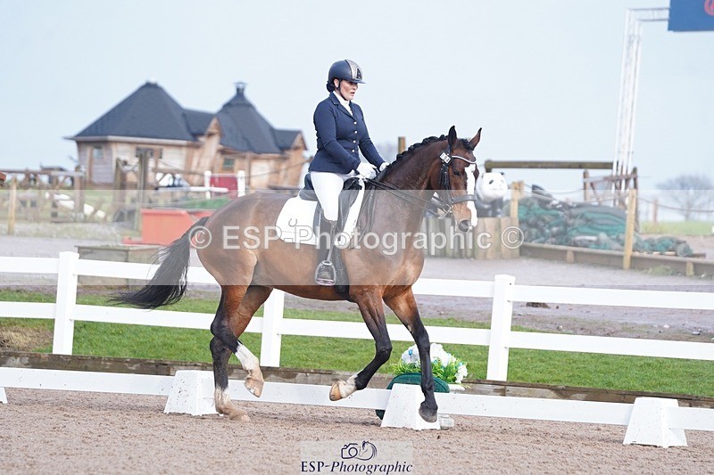 250215-144716-04356 - 194-Fay.Lai-Greenlanes.Lullaby