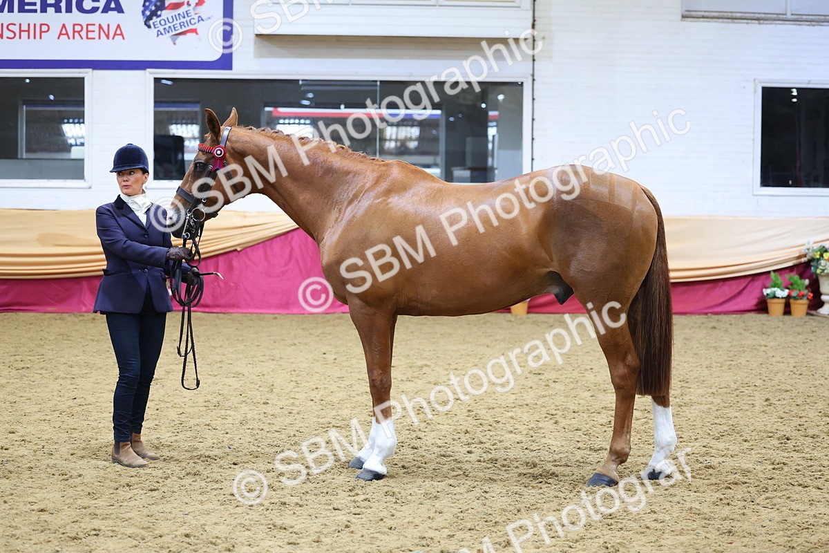 SBM_21081 - Class 902 - Supreme Final IH Veteran