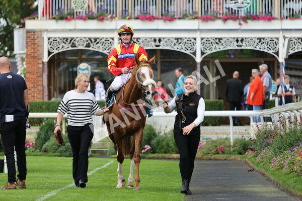 yr04092022r3-37 - Race 3 2.55pm The Elevator Company Garrowby Stakes