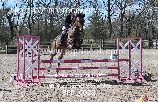 BPP_0022 - CLASS 19 SUN Senior British Novice/ 90cm Open