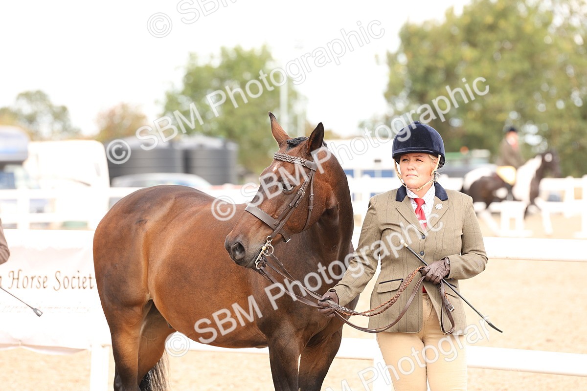 SBM_14626 - Class 208 - IH Veteran Horse