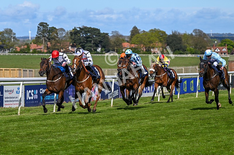 250424-Race 4-Classy Boy-1299 - Race 4