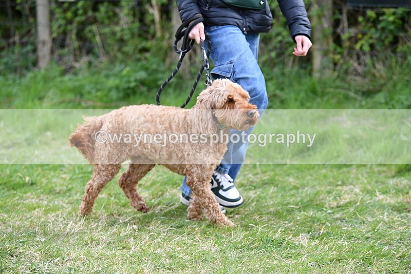 WJ5_0114 - Class 5 Best Veteran / 7 years & over