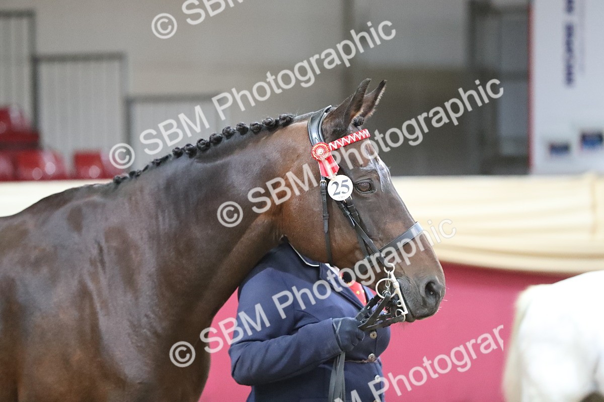 SBM_00264 - Class 1a - Area IH Diamond