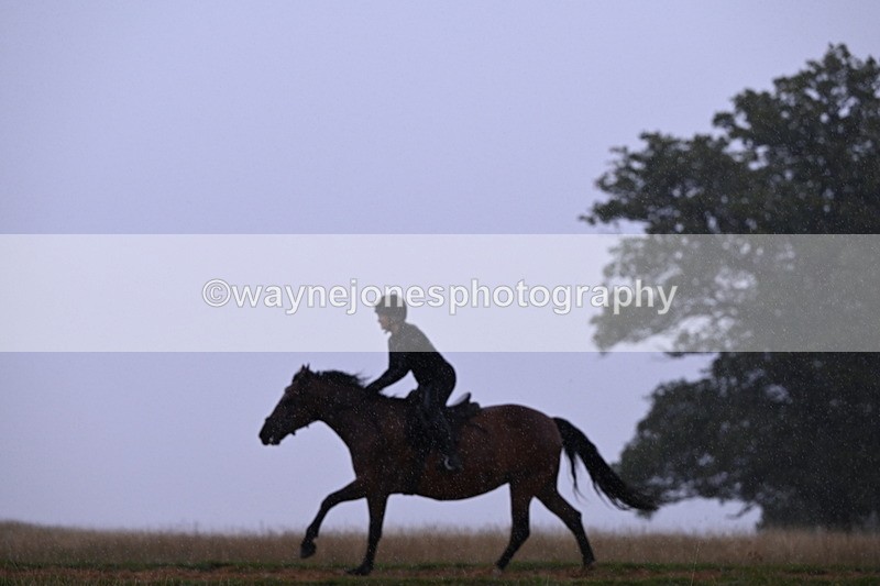 DSC_2991 - Time at Statue 12:59 to 13:49